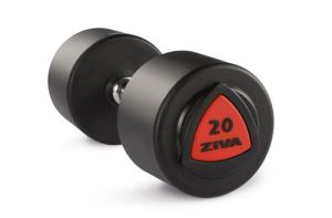 Ziva Dumbbell 12kg