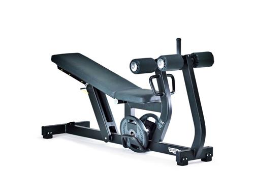 Technogym Adjustable Decline/Abdominal Crunch